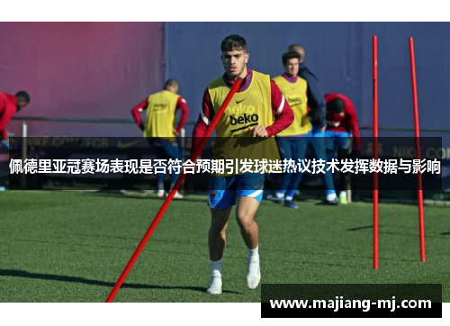 佩德里亚冠赛场表现是否符合预期引发球迷热议技术发挥数据与影响